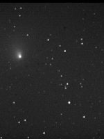 Comet Hale-Bopp taken by Rob Johnson using SX CCD, Exp. 30 secs, 14 inch Telescope at f5.2 - SXL8 CCD on June 12th 1996 at 23:33 UT