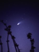 Comet Hale-Bopp taken by Tony Williams from Huyton, Merseyside on 30th March 1997 at 21:00 UT. 50mm lens at f2, 2min expos (piggybacked). Fujichrome Provia 400 (1600).